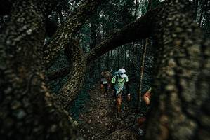 BIB: 
                            <button type="button" onclick="openModal(25692018)" class="btn btn-primary btn-sm float-right btn-popup" data-toggle="modal" data-target=".modal-high-quality">
                        <i class="fas fa-shopping-cart"></i> Add to Cart
                    </button>
                                            <button type="button" onclick="isThisMe(25692018, true)" class="btn btn-success btn-sm float-right btn-popup btn-isme hidden" data-toggle="tooltip" data-placement="bottom" title="นี่คือรูปของคุณใช่ไหม คลิกที่นี่เพื่อเอาเข้าอัลบั้ม">
                        <i class="fas fa-plus"></i> Add to album
                    </button>
                    <button type="button" onclick="isThisMe(25692018, false)" class="btn btn-warning btn-sm float-right btn-popup btn-isnotme hidden">
                        <i class="fas fa-ban"></i> Remove from album
                    </button>